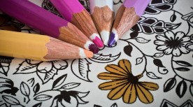 Image by A_Different_Perspective from Pixabay