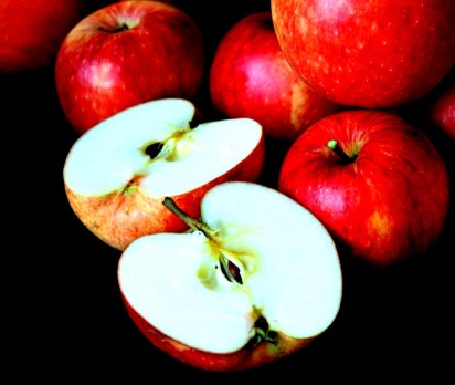 Image by Frauke Riether from Pixabay