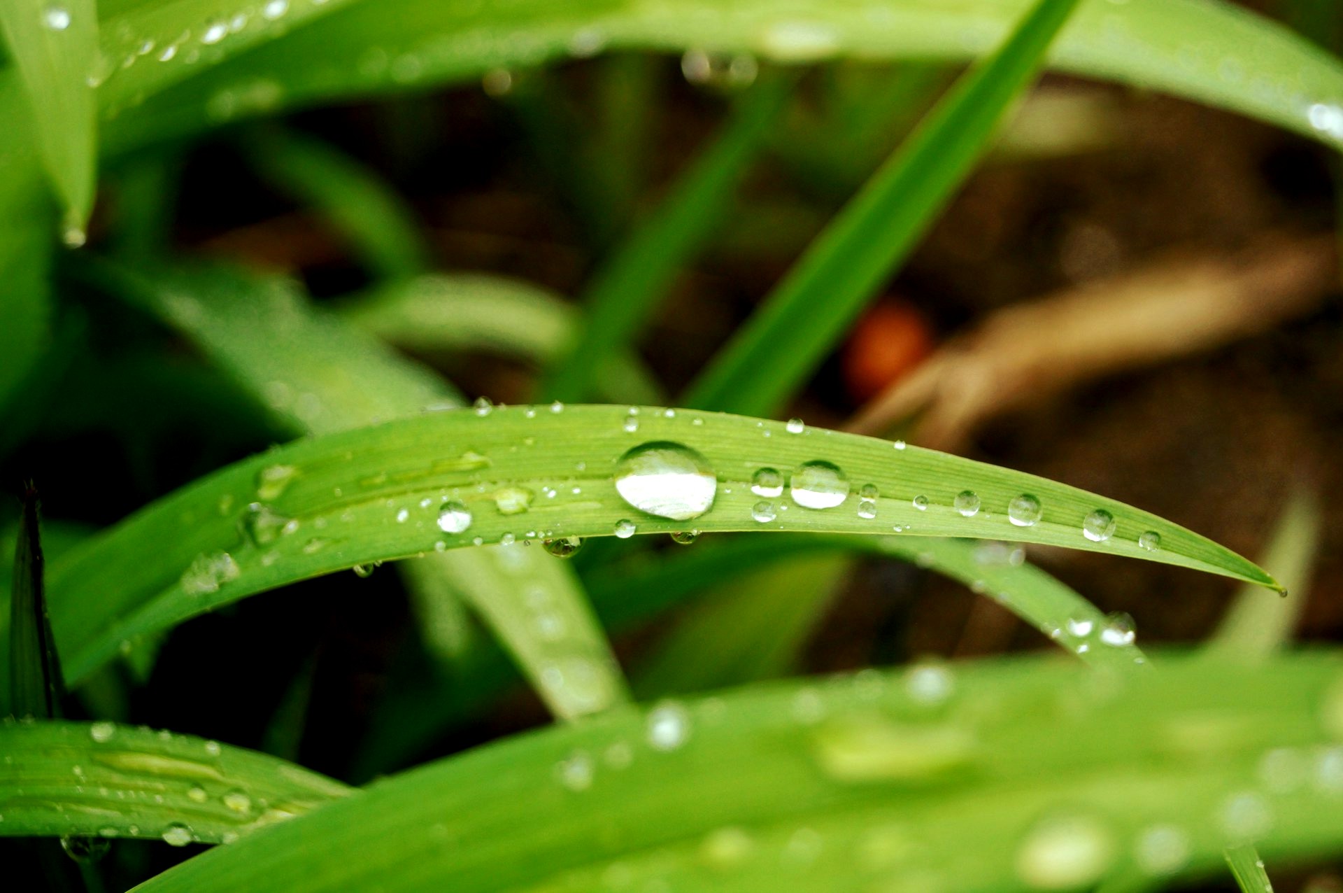 Photo by vision webagency on Unsplash 02